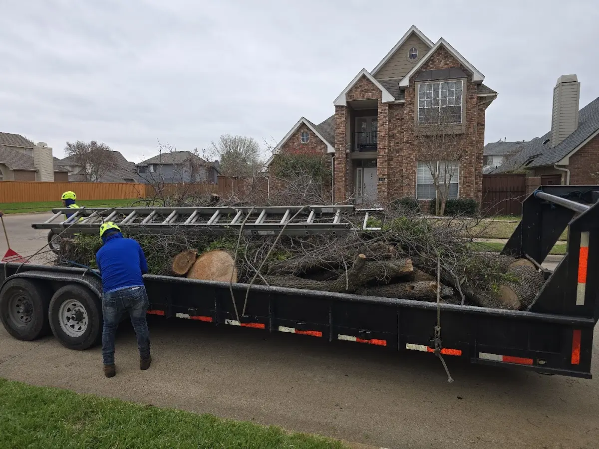 Expert Tree Fertilization with proper safety equipment in Fluker